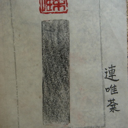 教學教案與其成果展示區