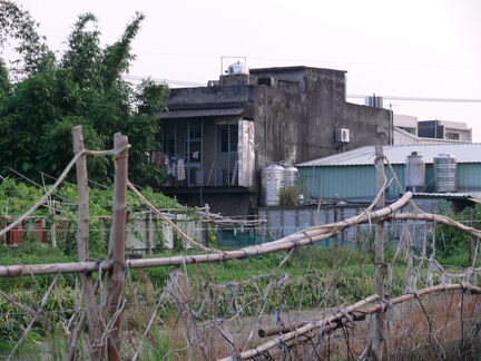 p10703.jpg